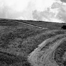 Kiarostami 2.0