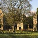 Robinson in Ruins