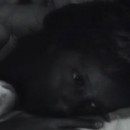 Los motivos de Berta