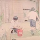 Los campos “vacíos” de Shara