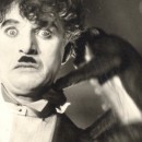 El cine y lo animal